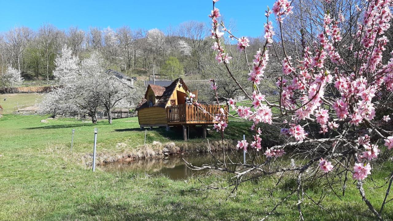 Le Domaine Du Chatelet Ferdrupt Esterno foto