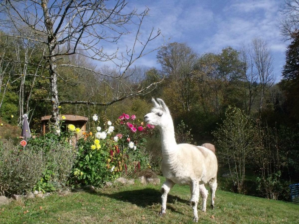 Le Domaine Du Chatelet Ferdrupt Esterno foto
